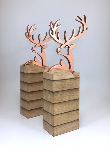 Trophy Design Ideas and Inspiration