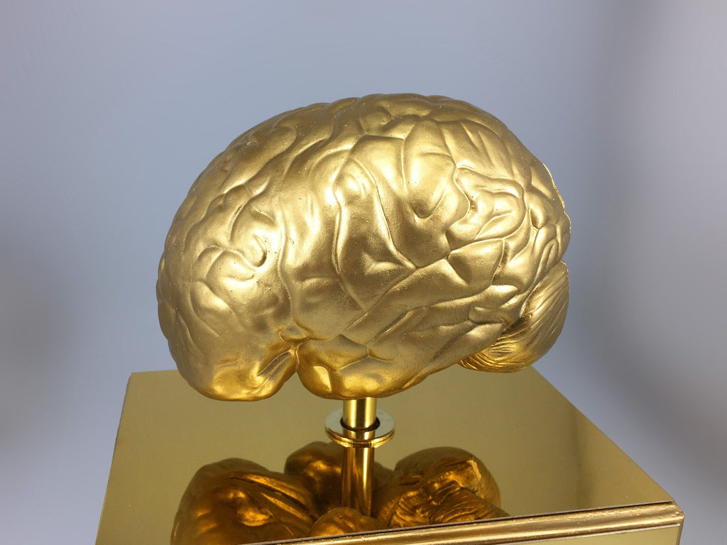 For Fact's Sake Brain Award
