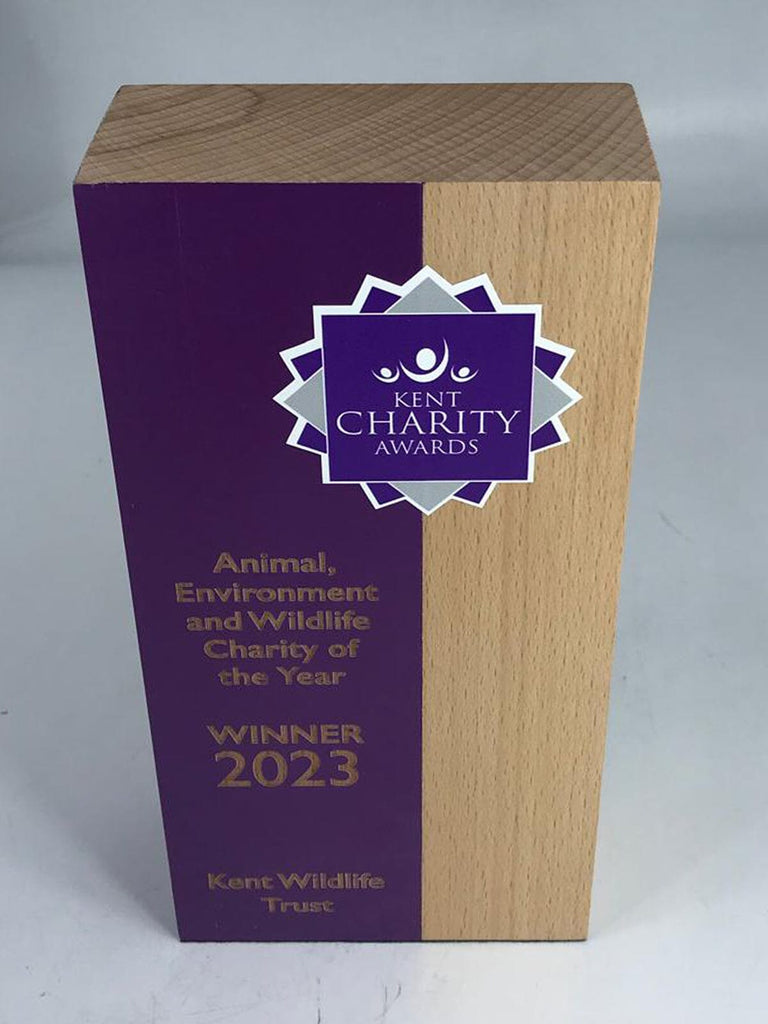 Maple Duo Award Wooden Awards Creative Awards London Limited