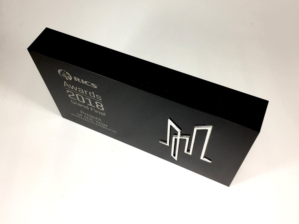RICS Black Acrylic Block with Flash Award