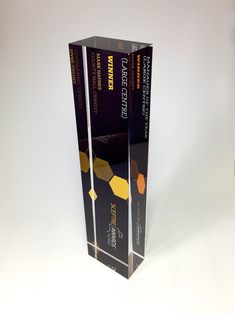Rear Printed Acrylic Block Award