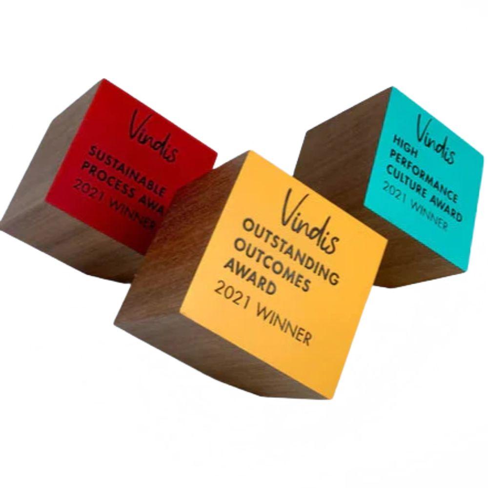 Sustainable Wooden Colourful Award