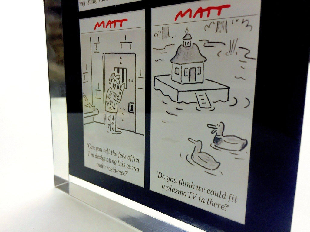 The Telegraph Cartoonist Award