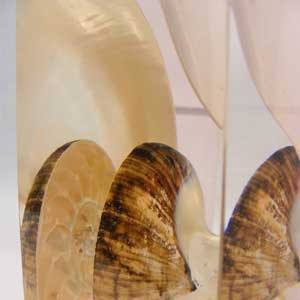 Shell Award