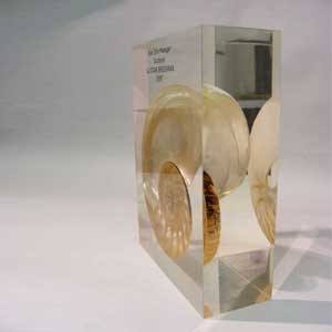 Shell Award