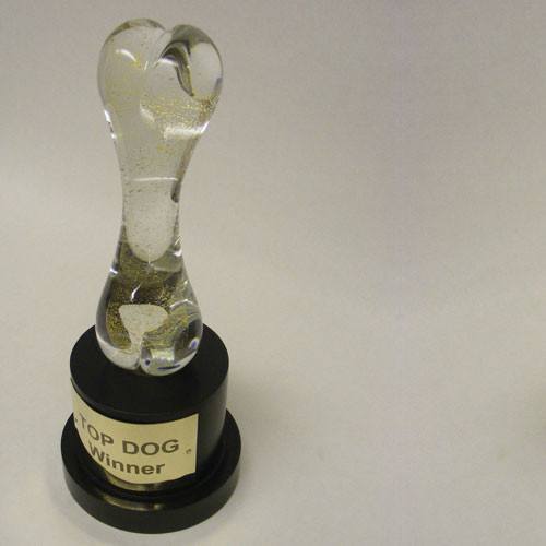 Top Dog Award