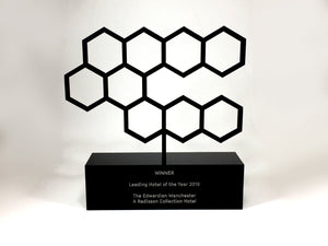 Black Hexagon Award