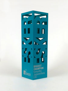 Coloured Cage Award Creative Awards London Limited