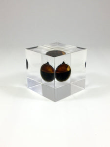 Oil Cube Deal Toy