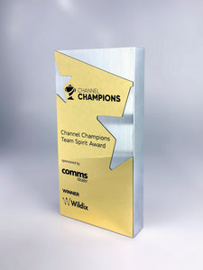 Satin Aluminium and Bright Gold Block Award Creative Awards London Limited