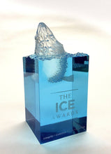 Load image into Gallery viewer, ICE Awards
