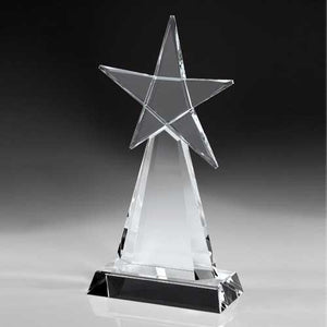 Evolving Star Award
