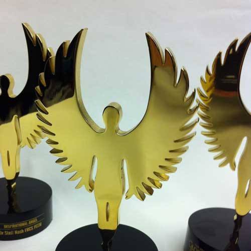 Global Angels Award