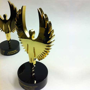 Global Angels Award